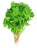 Cilantro agroecológico