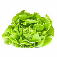 Lechuga francesa agroecológica