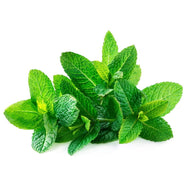 Menta agroecológica